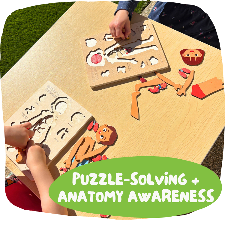 Body Puzzle