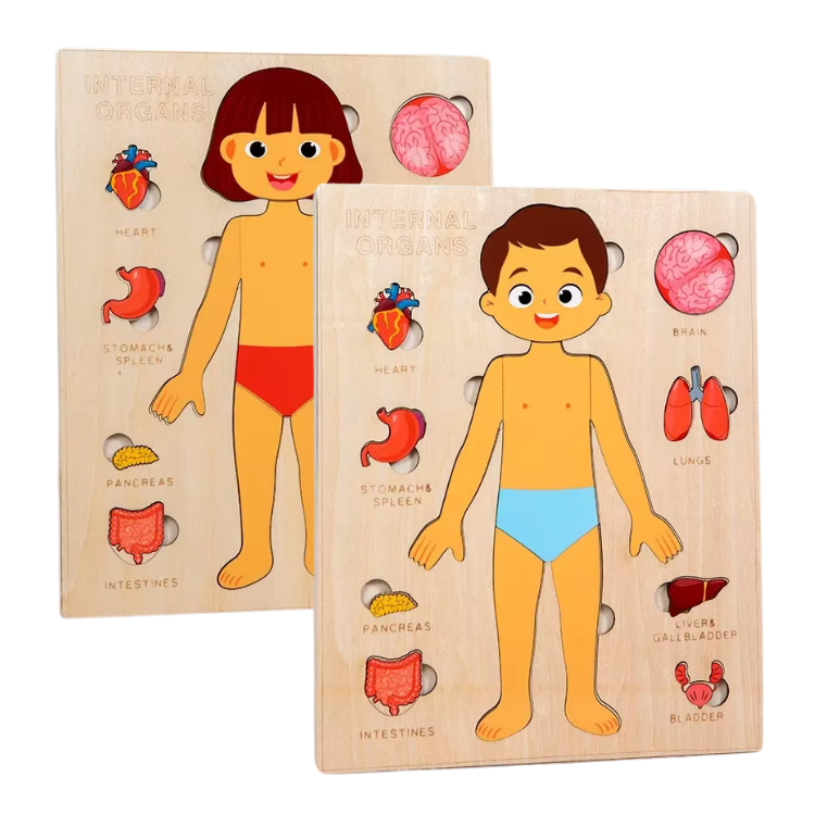 Body Puzzle