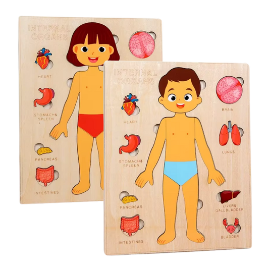 Body Puzzle